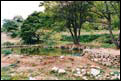 svuotatura sottofondi